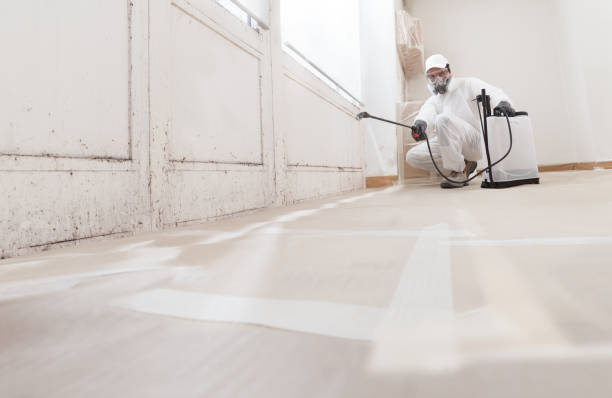 24/7 Emergency Basement Mold Remediation experts in Crockett, TX