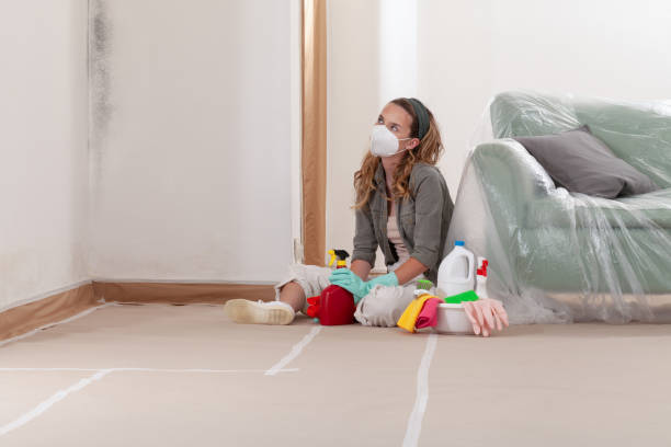 Reliable Basement Mold Remediation contractor in Crockett, TX by 24 Hour Mold Removal